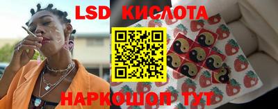 гидропоника Можга