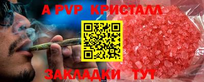прущие грибы Можайск