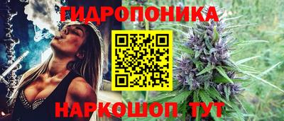 гашишное масло Моздок
