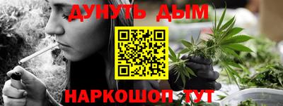 прущие грибы Можайск