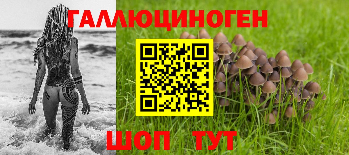 Галлюциногенные грибы прущие грибы  Вязники  Галлюциногенные грибы ЛСД 